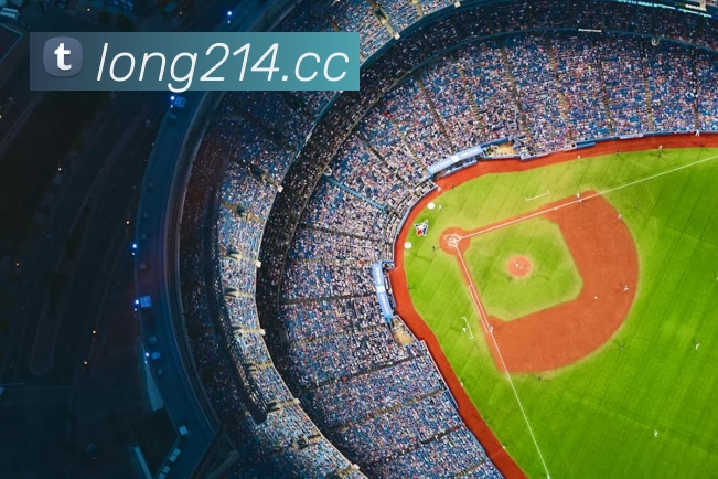 龙8-long8(国际)官方网站平台生态图